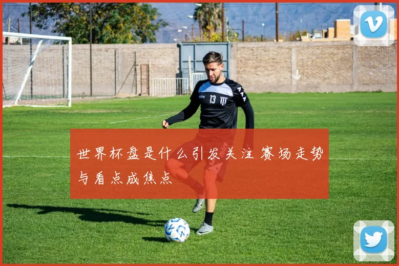 世界杯盘是什么引发关注 赛场走势与看点成焦点
