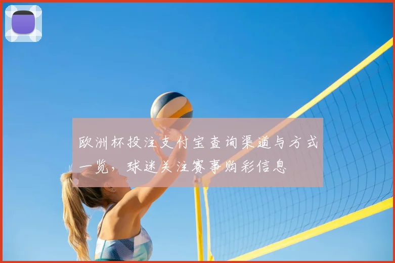 欧洲杯投注支付宝查询渠道与方式一览,球迷关注赛事购彩信息