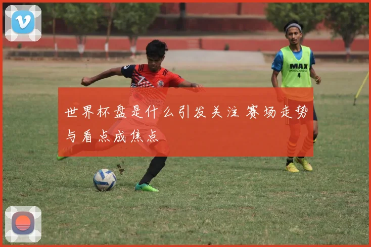 世界杯盘是什么引发关注 赛场走势与看点成焦点
