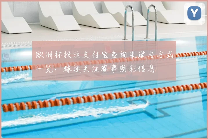 欧洲杯投注支付宝查询渠道与方式一览,球迷关注赛事购彩信息
