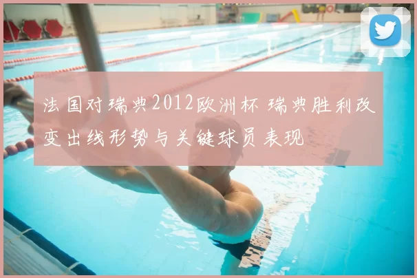 法国对瑞典2012欧洲杯 瑞典胜利改变出线形势与关键球员表现
