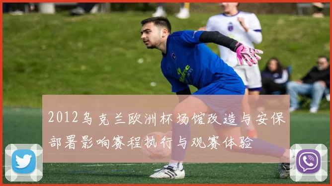 2012乌克兰欧洲杯场馆改造与安保部署影响赛程执行与观赛体验