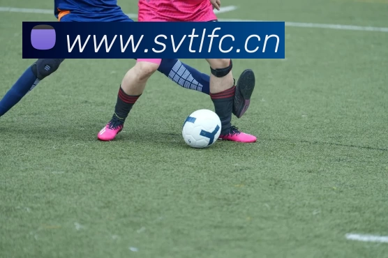 世界杯网APP 体育赛事宣传图